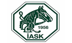 istanbul atlı spor kulübü