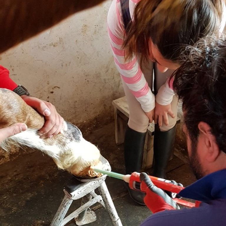 Tırnak çatlağı tedavisi